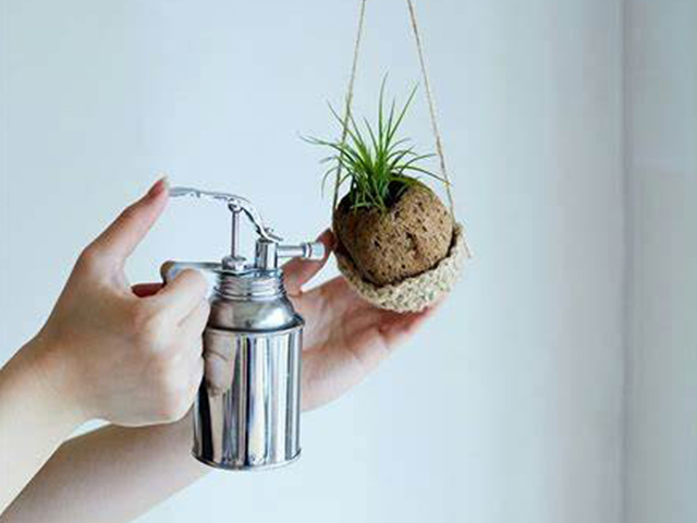 リブレットハウス　家