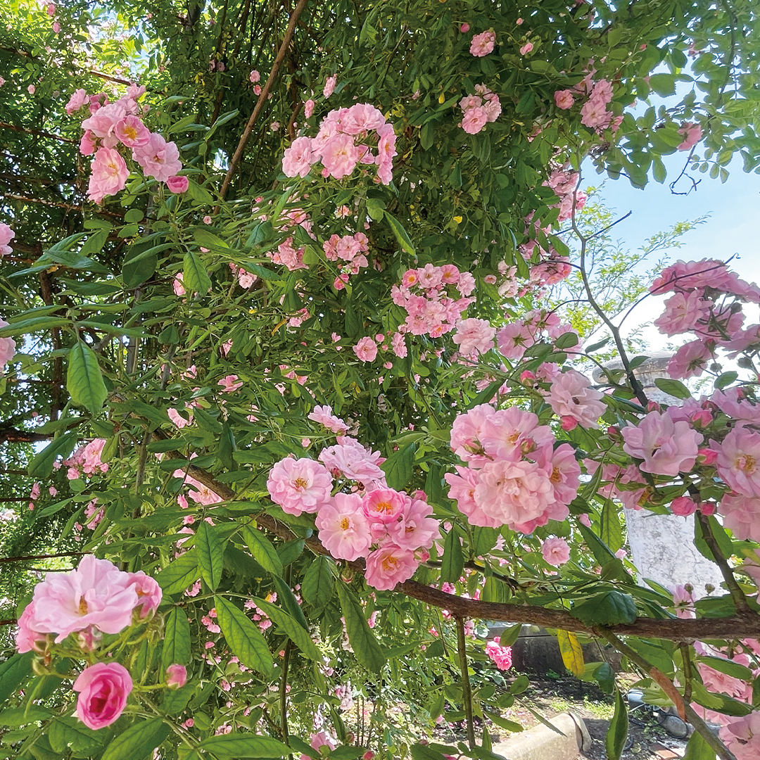 リブレットハウス　スタッフ