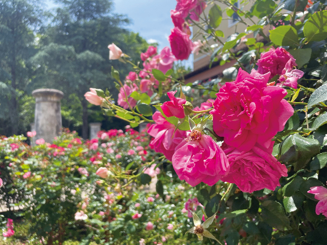 リブレットハウス　スタッフ