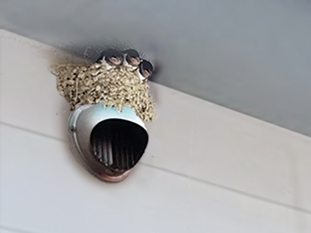 リブレット　スタッフ