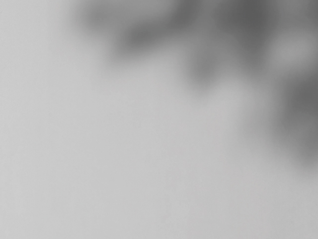 コージーライトグレー