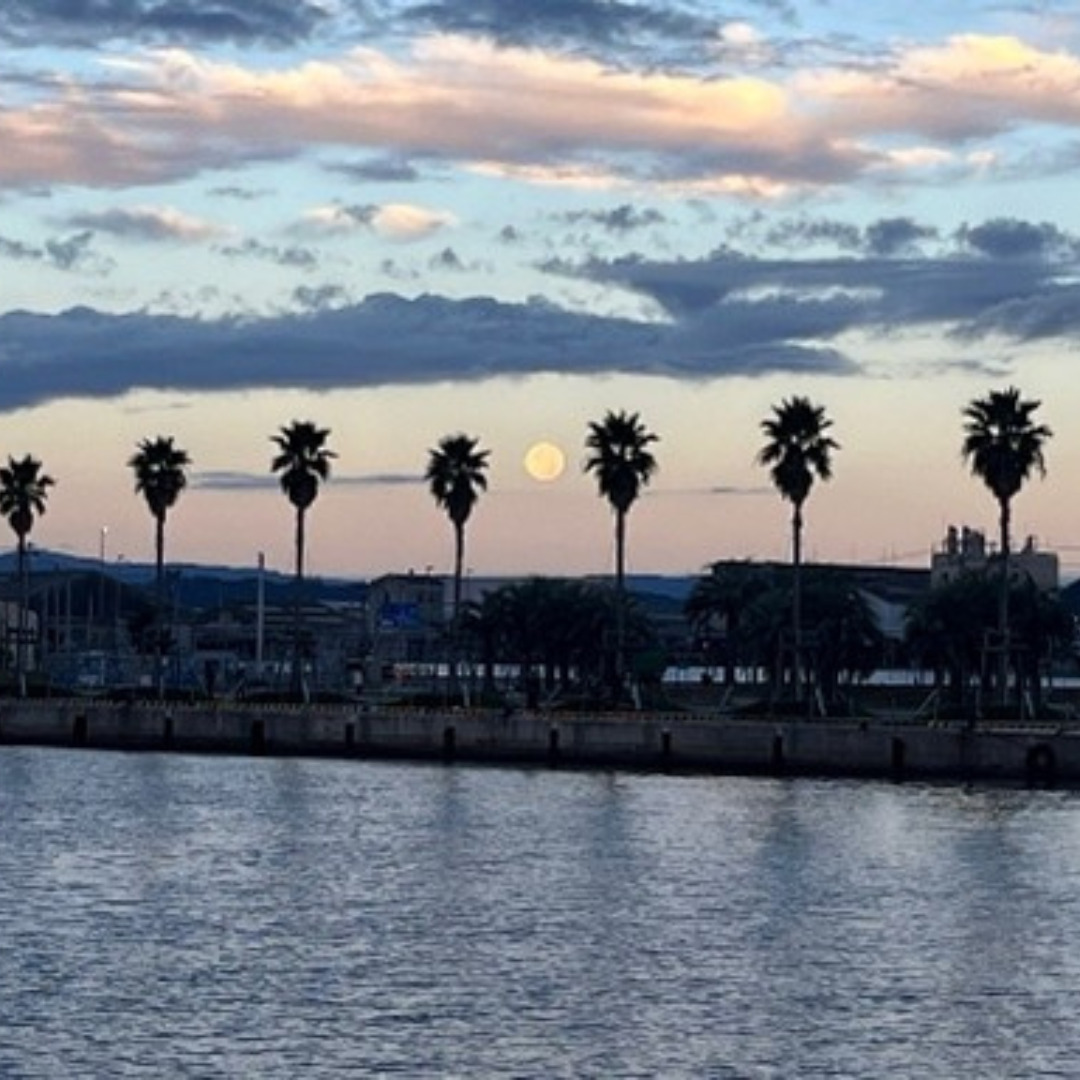 リブレットハウススタッフ